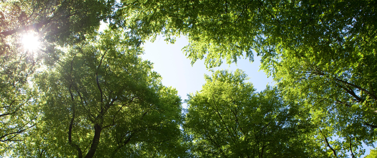 インストラクター養成コース